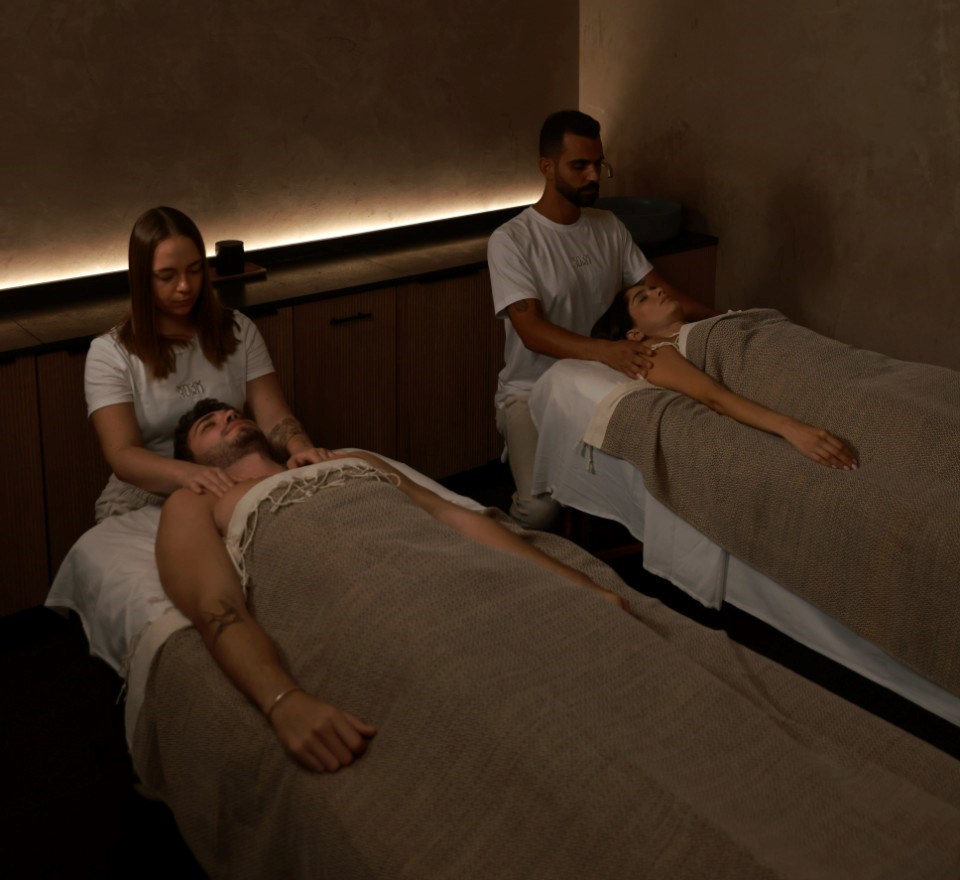 loginnspa-1-1-